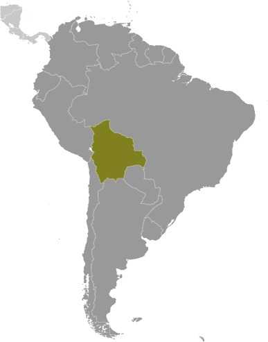 Locator map of Bolivia