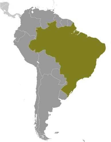 Locator map of Brazil