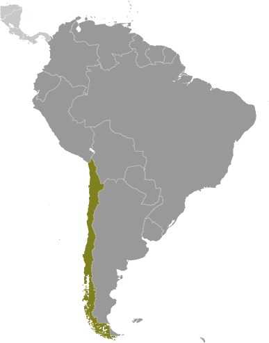 Locator map of Chile