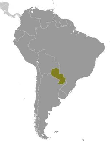 Locator map of Paraguay
