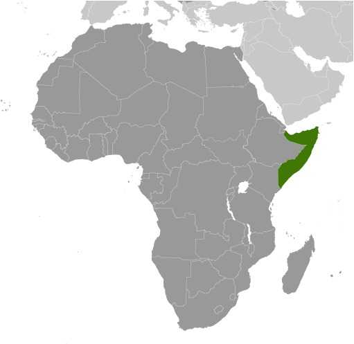 Locator map of Somalia